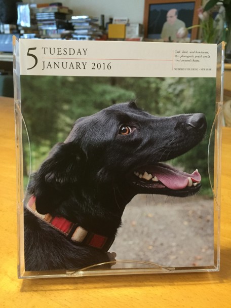 IMG_0923_dog calender_1